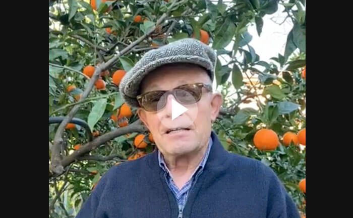 Sergio Pibiri Autore